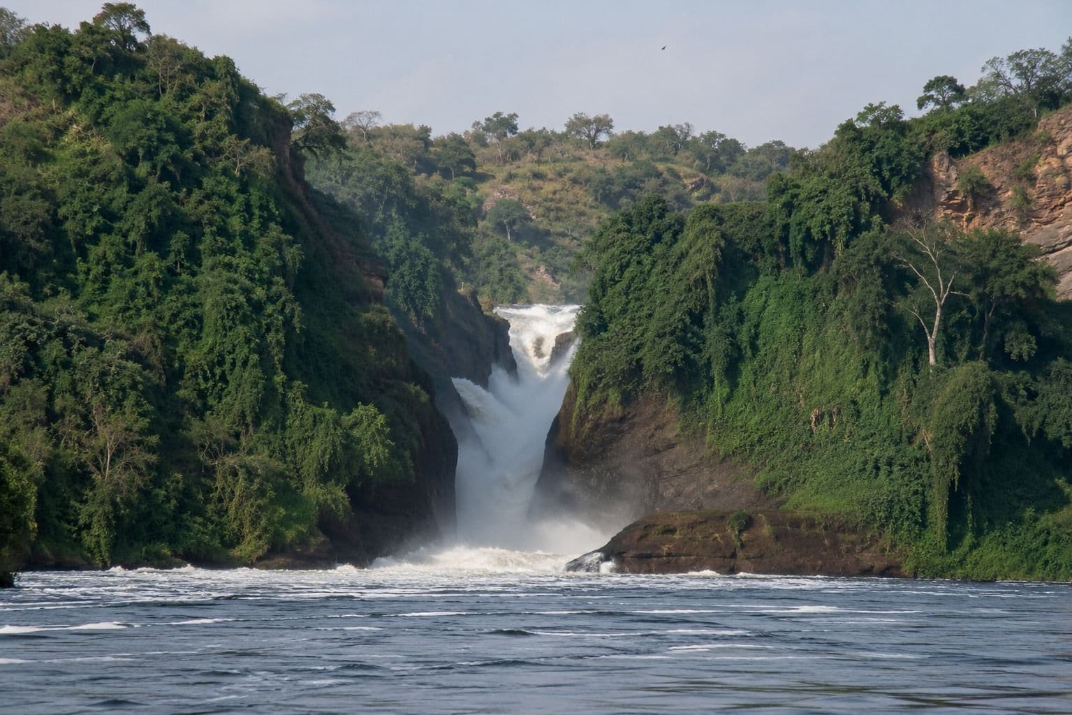 Murchison Falls Wildlife & Nile River Safari Experience in Uganda Africa