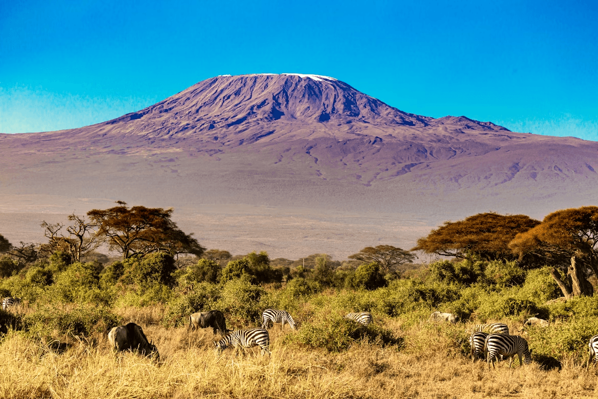 Elephants & Kilimanjaro: 4-Day Amboseli Safari