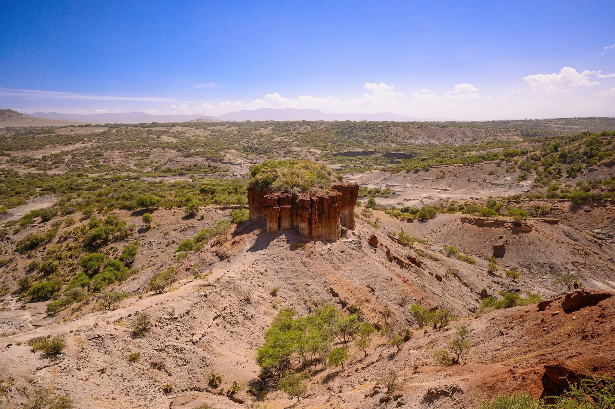 Southern Migration: Safari / Olduvai Gorge / Zanzibar Beach